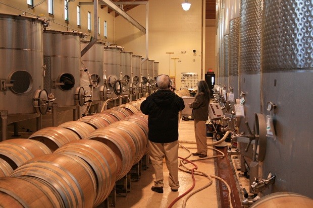 Giới thiệu về quy trình sản xuất rượu vang